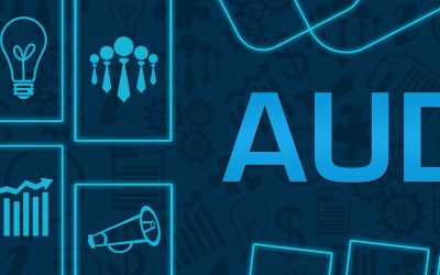 Pourquoi faire un audit PI ?